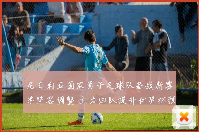 尼日利亚国家男子足球队备战新赛季阵容调整 主力归队提升世界杯预选赛竞争力